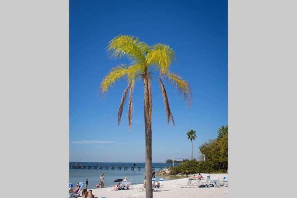 Little Harbor Resort #510 Tampa Bay Fl Beach, Hot Tub, Pools Ruskin Eksteriør billede