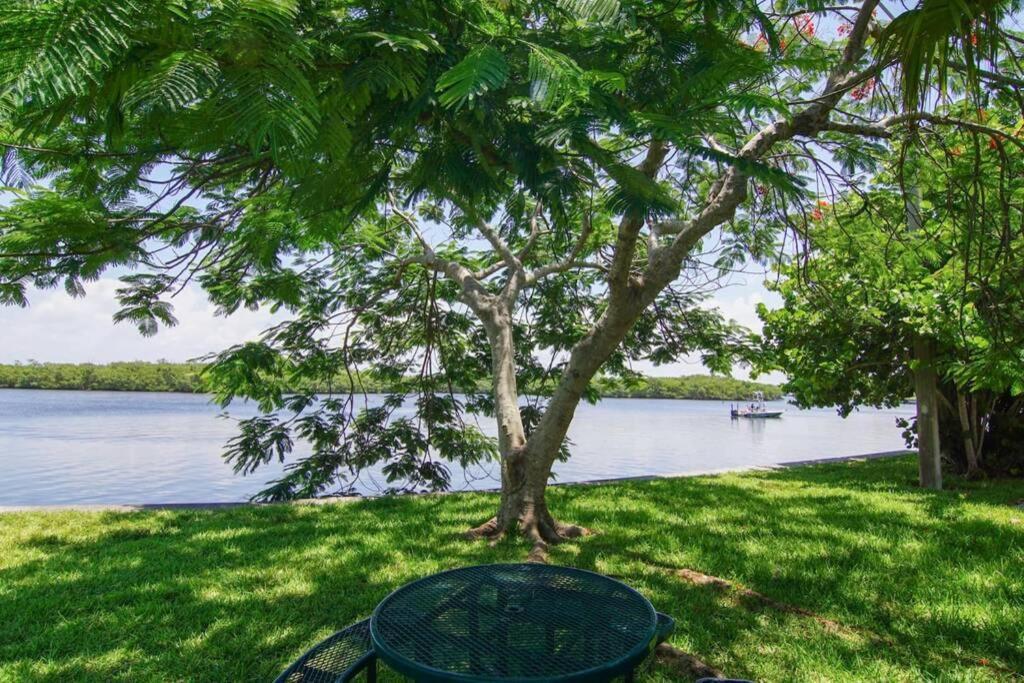 Sea Breeze, Studio 510, Beach Steps Away!+Pool+Wifi Ruskin Eksteriør billede